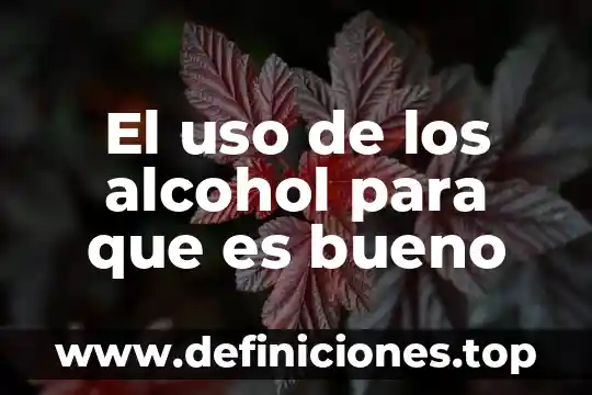 El uso de los alcohol para que es bueno