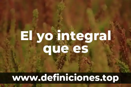 Que es numero de revisionde un ssd kingston 8 El yo integral que es