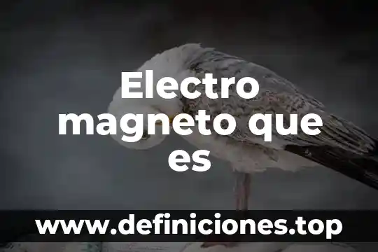Que es electro ign del tsuru 5 Electro magneto que es