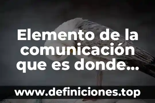 Que es el elemento de expacion 7 Elemento de la comunicación que es donde nace el mensaje