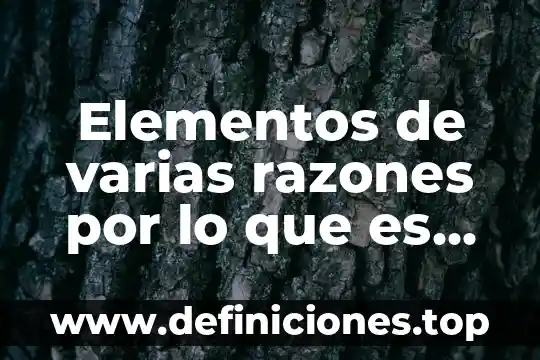 Que es ser algo 5 Elementos de varias razones por lo que es importante el