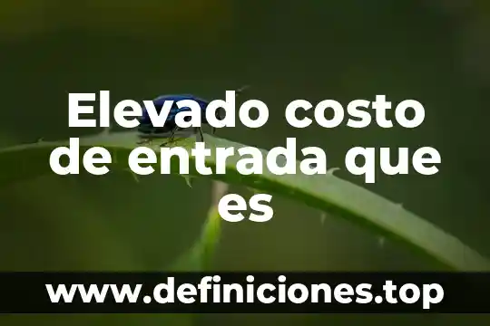 Que es un sistema operativo de gestion entrada y salida 5 Elevado costo de entrada que es