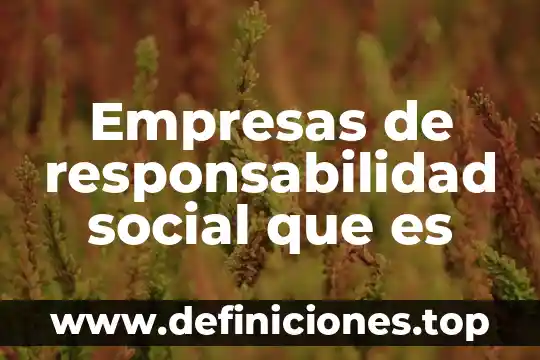 Empresas de responsabilidad social que es