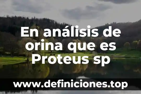 Que es proteus software visualizacion 3d 6 En análisis de orina que es Proteus sp