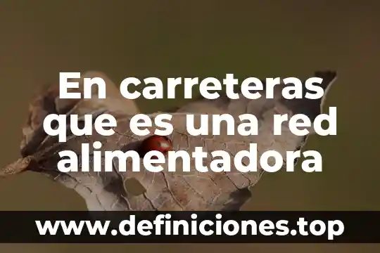 Qué es un protocolo de red físico 3 En carreteras que es una red alimentadora
