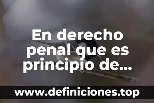 En derecho penal que es principio de legalidad