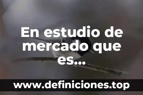 Que es una red semantica y ejemplos 3 En estudio de mercado que es investigación documental