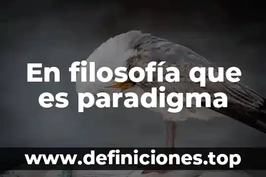 En filosofía que es paradigma
