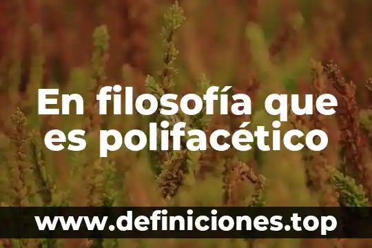 Que es la filosofia ilustrada 6 En filosofía que es polifacético