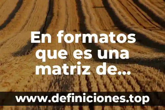 Formatos Radiofónicos 5 En formatos que es una matriz de riesgos