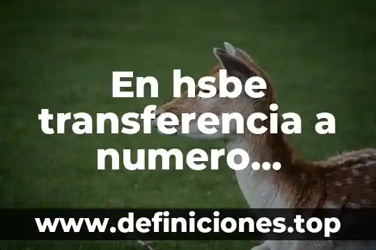 En hsbe transferencia a numero telefonico que es eso
