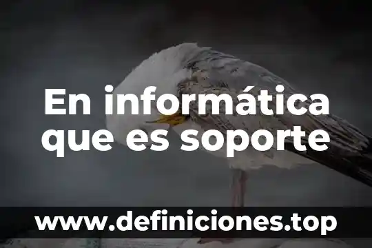 Que significa o que es un periferico en informatica 7 En informática que es soporte
