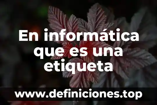 Que es el trafico sin etiqueta en redes 5 En informática que es una etiqueta