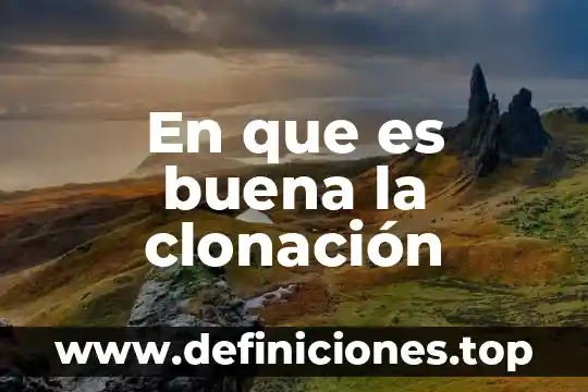 Que es es un principio ético 8 En que es buena la clonación