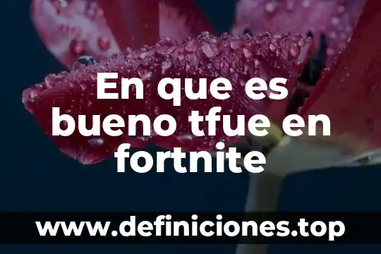 Qué es bueno para los coconos 6 En que es bueno tfue en fortnite