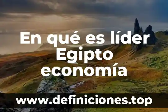 Qué es lo más importante de un buen líder 8 En qué es líder Egipto economía