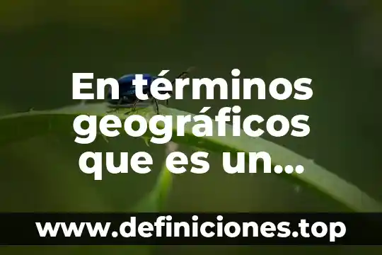 Qué es una firma en términos corporativos 4 En términos geográficos que es un recurso