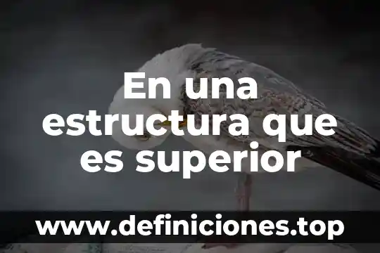 ¿Qué es la educación media superior según autores? 8 En una estructura que es superior