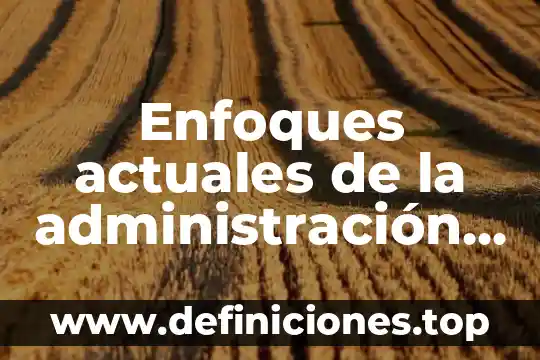 Enfoques actuales de la administración que es