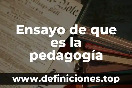 Ensayo de que es la pedagogía