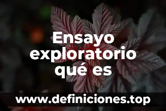 Ensayo exploratorio qué es