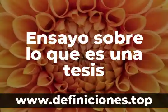 Ensayo sobre lo que es una tesis