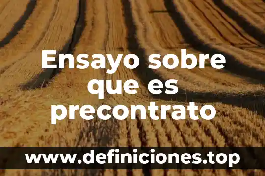 Ensayo sobre que es precontrato