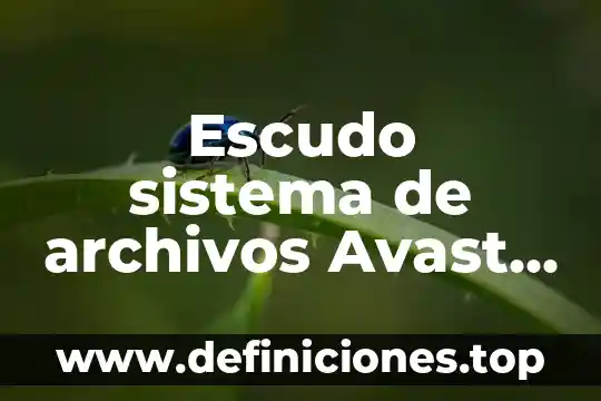 Escudo sistema de archivos Avast que es