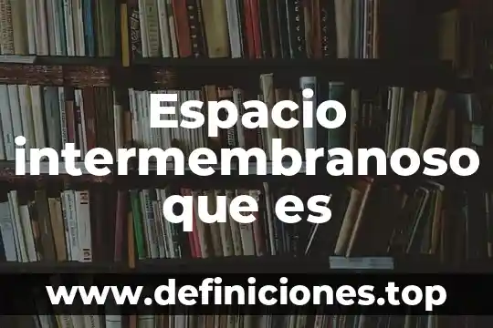 Que es espacio familiar 4 Espacio intermembranoso que es