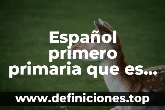 Qué es la hipertensión arterial primaria 6 Español primero primaria que es un cuento