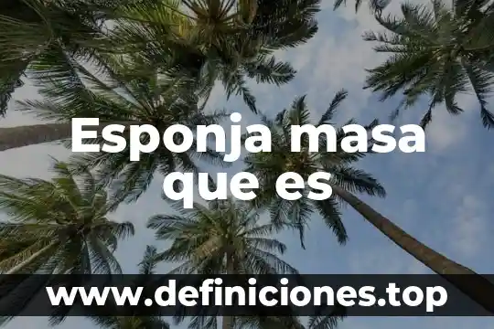 Que es un proton y su masa 3 Esponja masa que es