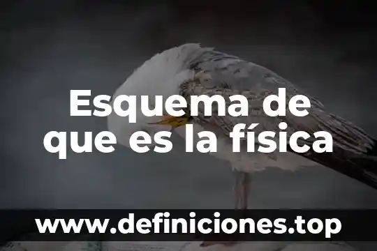 Esquema de que es investigar 7 Esquema de que es la física