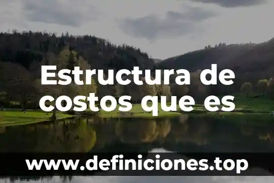 Que es un resumen y su estructura 6 Estructura de costos que es