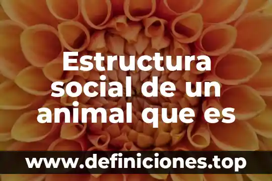 Estructura social de un animal que es