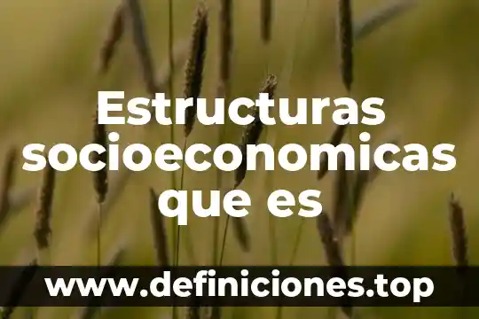Que es fy en estructuras 6 Estructuras socioeconomicas que es