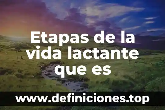 Etapas de la vida lactante que es