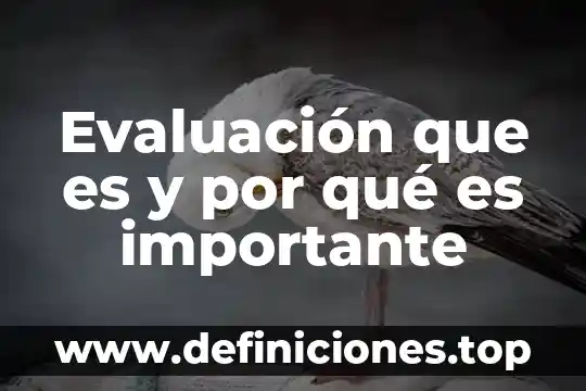Que es proceso de distribucion y evaluacion 7 Evaluación que es y por qué es importante