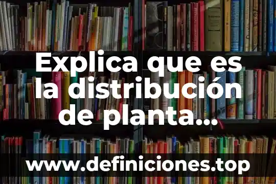 Que es un layout excel 5 Explica que es la distribución de planta layout