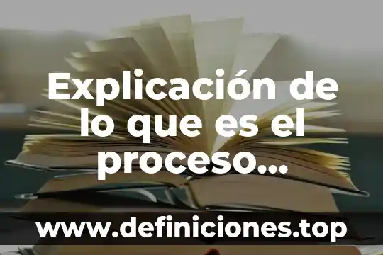 Que es la discapacidad auditiva explicacion para niños 8 Explicación de lo que es el proceso administrativo