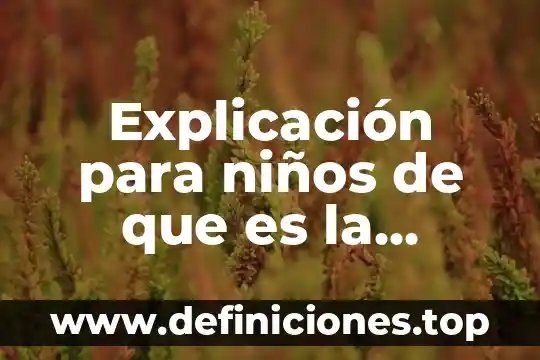 Explicación para niños de que es la longitud