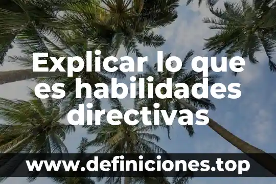 Que es un modelo taller y destrezas directivas 3 Explicar lo que es habilidades directivas