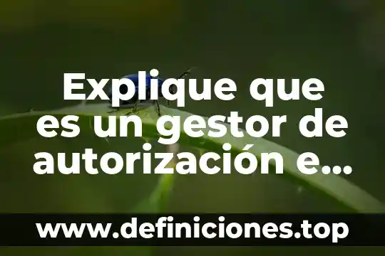 Qué es un gestor de proyectos 4 Explique que es un gestor de autorización e integridad