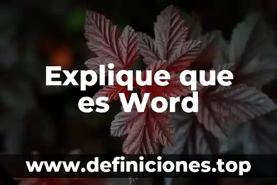 Que es copiar en word significado 8 Explique que es Word