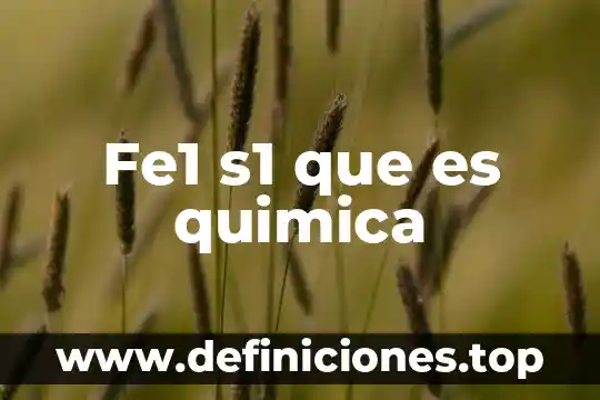 Fe1 s1 que es quimica