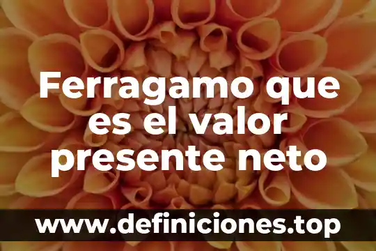 Que es el tiempo presente perfecto en ingles 7 Ferragamo que es el valor presente neto