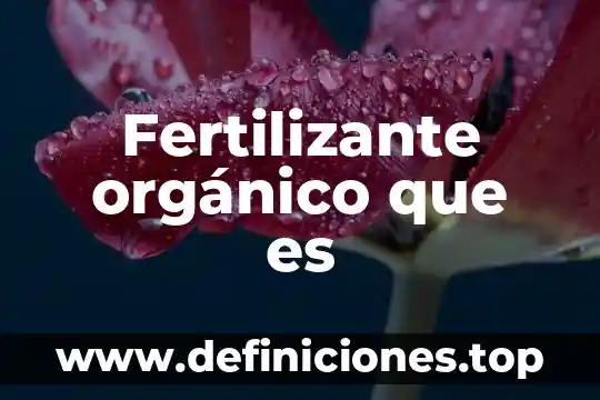 Que es un compuesto organico base 4 Fertilizante orgánico que es