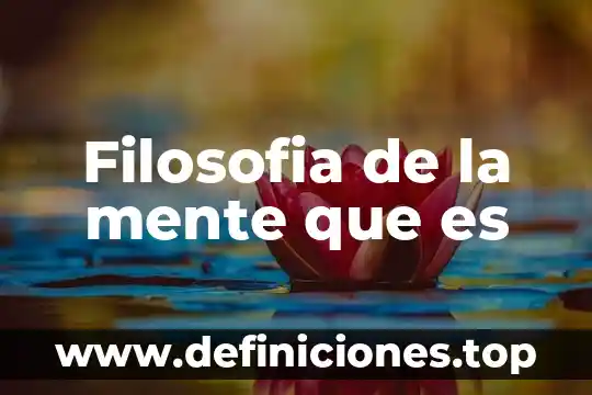 Filosofia de la mente que es