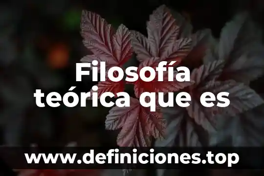 Filosofía teórica que es
