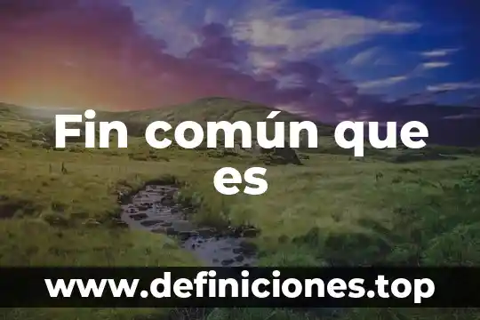 Qué es objetivo común 3 Fin común que es