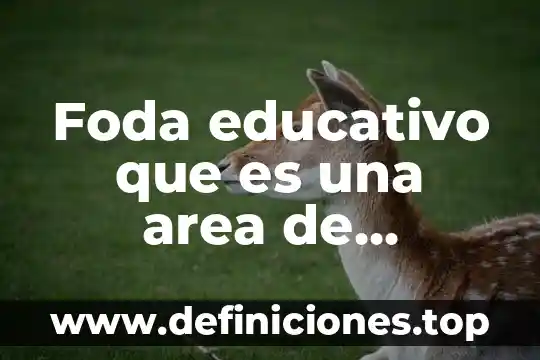 Que es mecatronica area automatizacion utcam 6 Foda educativo que es una area de oportunidades